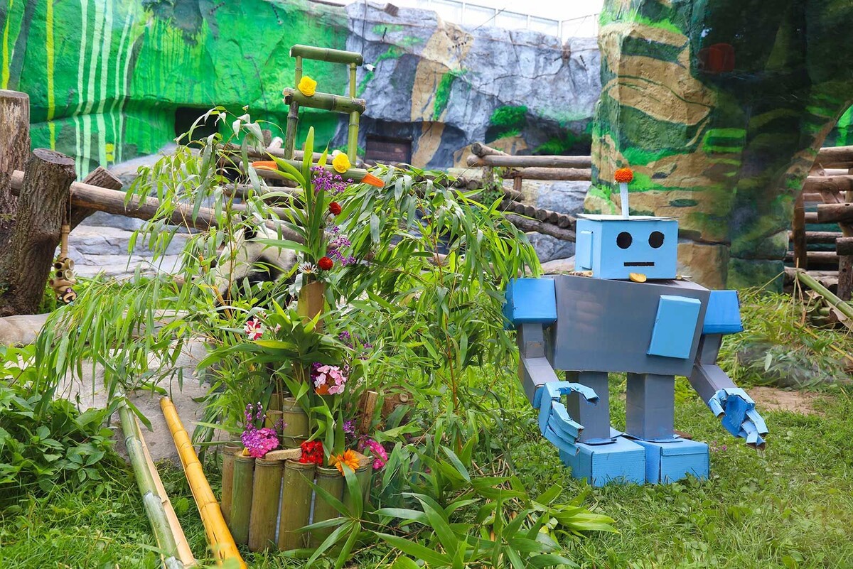    Столица отпразднует Международный день панды с Катюшей, Жуи и Диндин