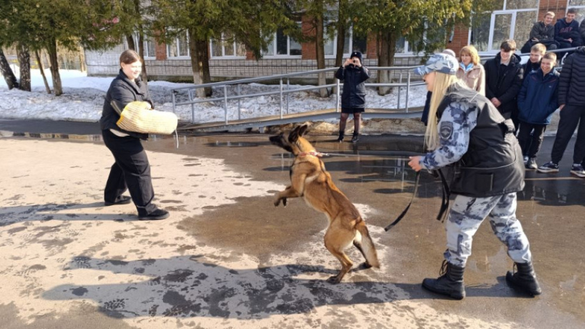    Фото: Управление МВД по Владимирской области