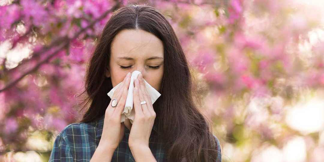 Аллергия на цветение: как пережить весну без слез и чихания. Полный гид для аллергика
