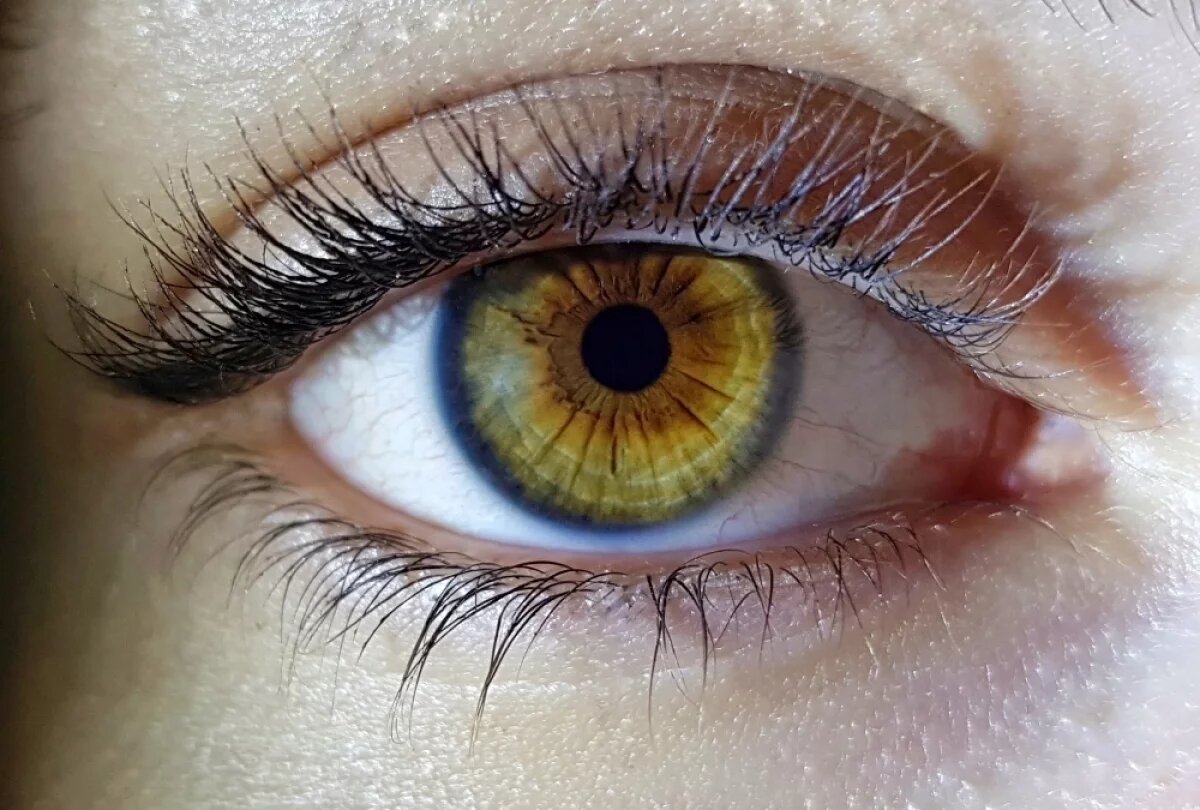    Специалисты рассказали, можно ли загипнотизировать человека против его воли