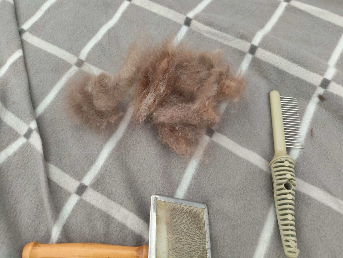 Хоть валенки валяй )))