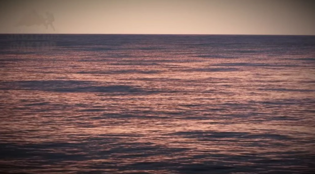 Фото: свободный доступ.