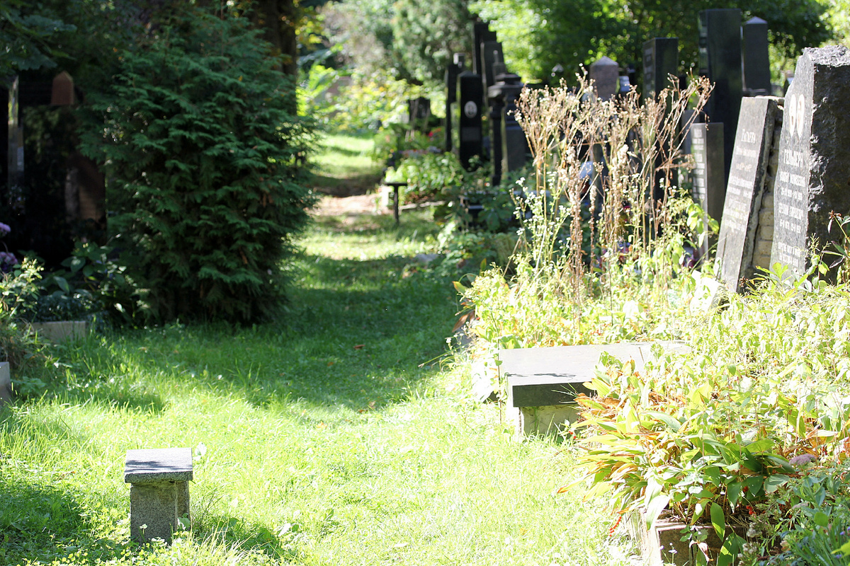 Донское кладбище