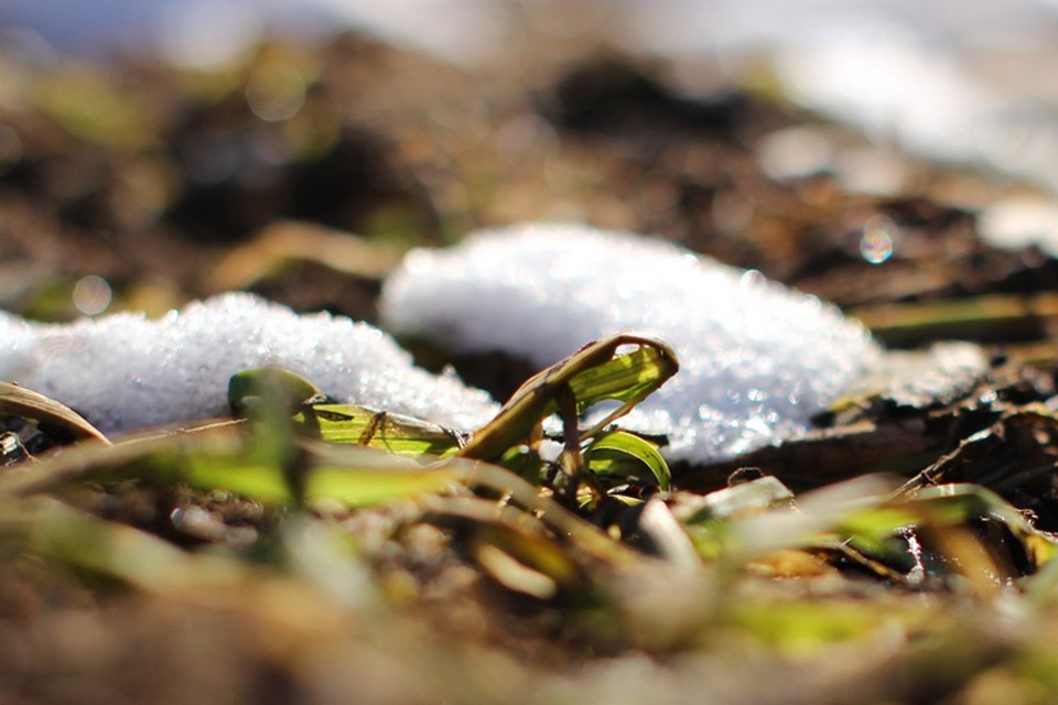    Хорошего дня! Сергей ГРАЧЕВ