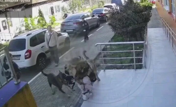    Скриншот видео: t.me/soch01