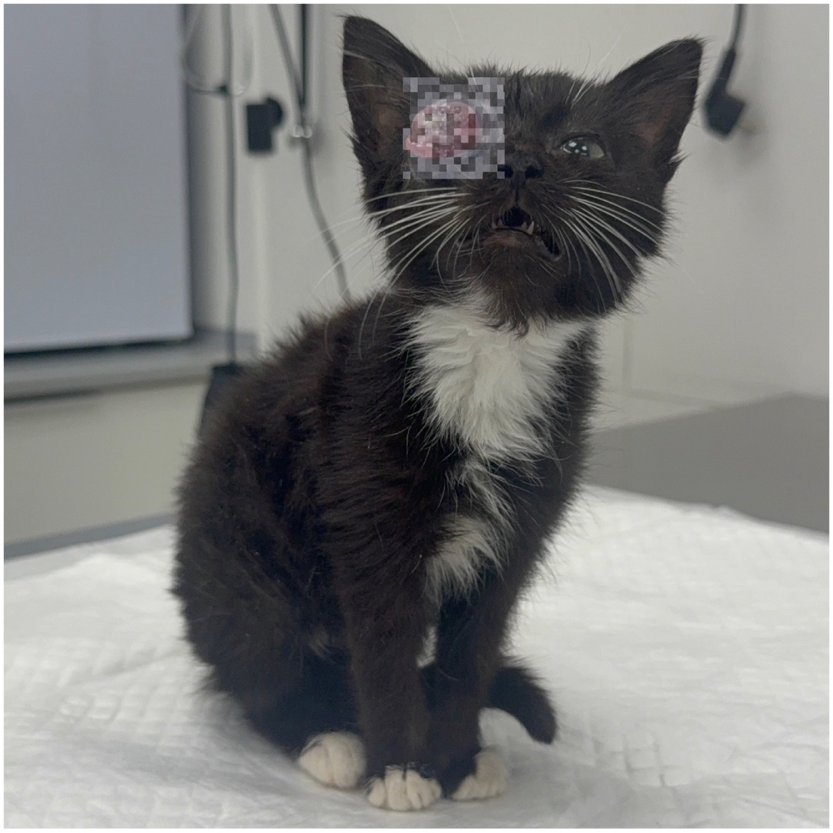 Варюша❤️‍🩹