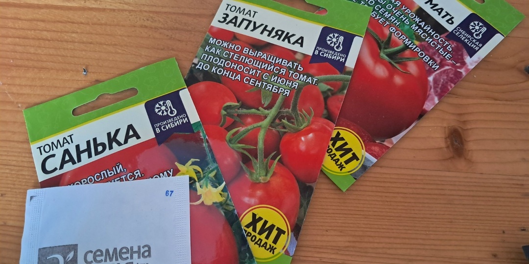 Почему я потеряла рассаду в прошлом году: список-памятка для посева