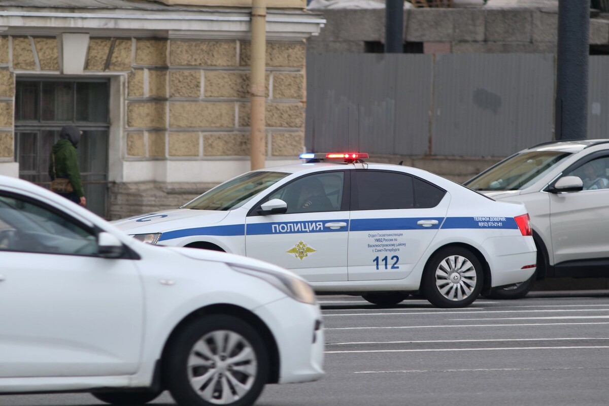     / Источник: © Global Look Press