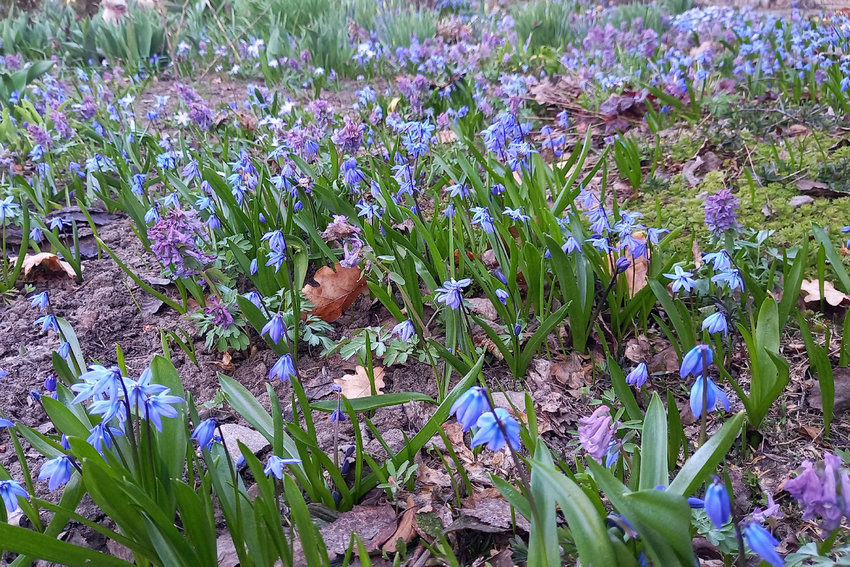 23 апреля 2023 г.