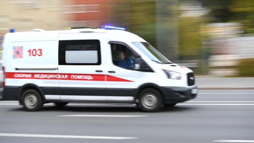    Источник: russian.rt.com Ярослава Мухина