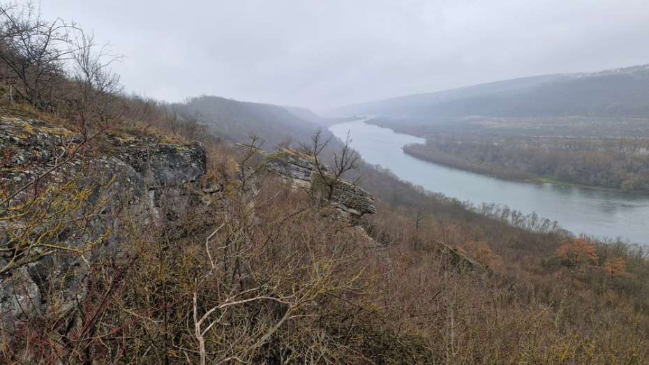 Молдавия бьет тревогу: республика в шаге от режима экологической опасности из-за слива нефтепродуктов в Днестр