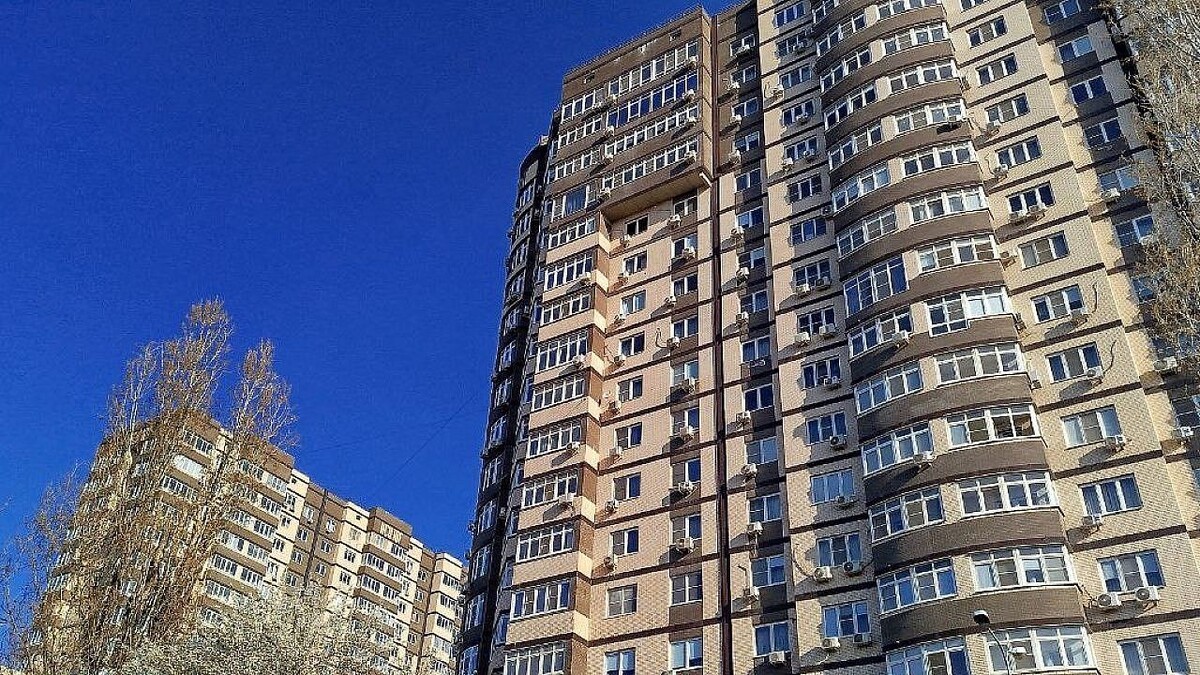    Фото: телеканал «Краснодар»