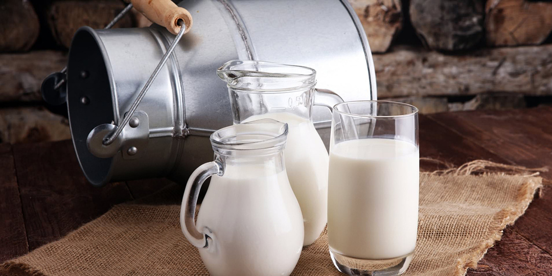 Молоко без вреда: как тренировать кишечник и не отказываться от любимого продукта