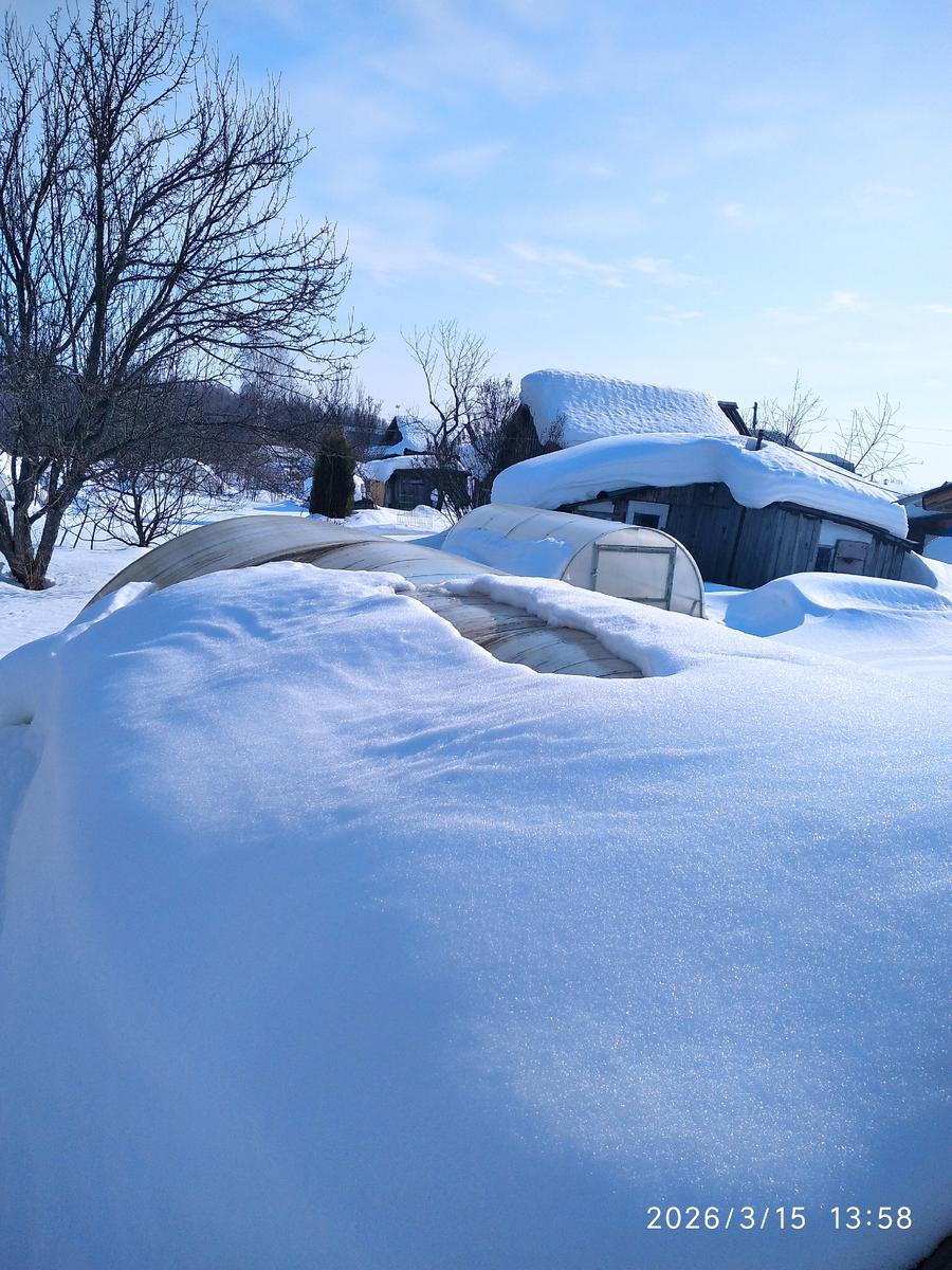 это я стою на сугробе и разглядываю крышу двухметровой теплицы
