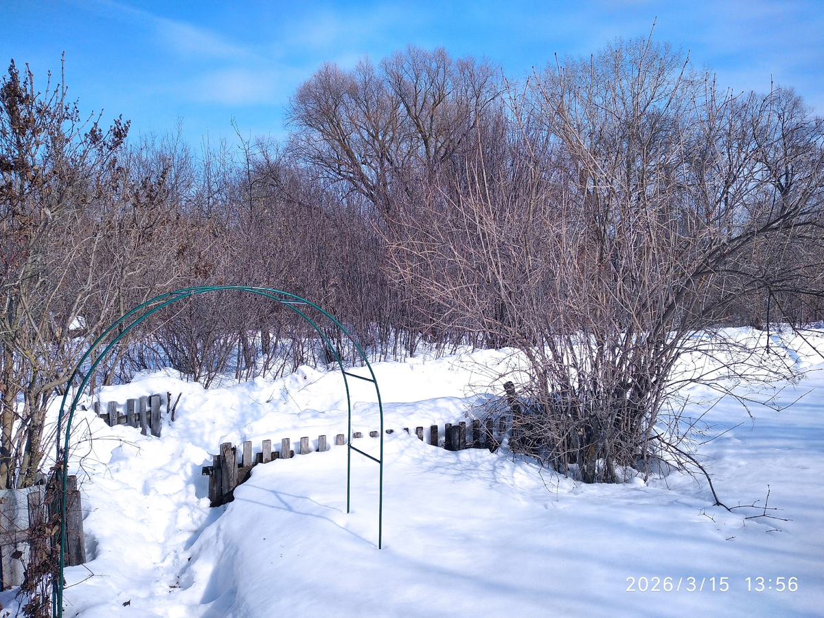 снег вровень с заборчиком!