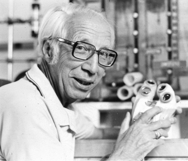 Виллем Йохан (Пим) Колф (Кольф) (1911 — 2009), из открытых источников