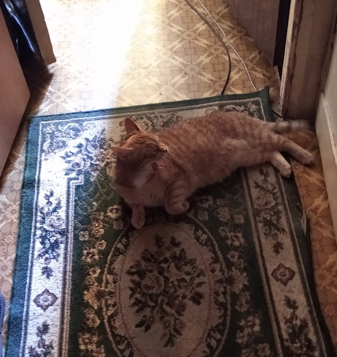 Личное фото