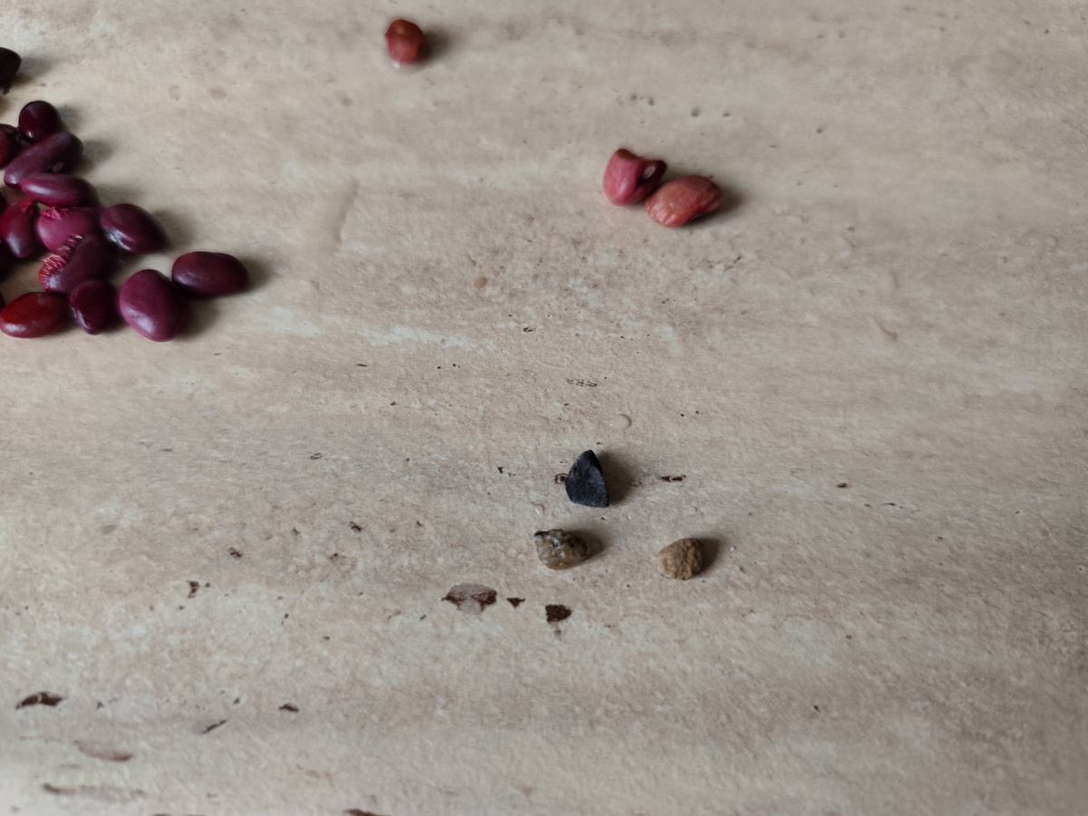 Если камни бы попались на зубок – прощай пломба, а то и зуб!