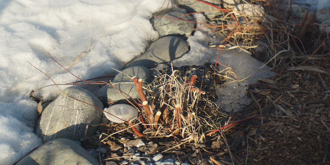 Лучшая садовая штуковина, котрую я держала в руках!