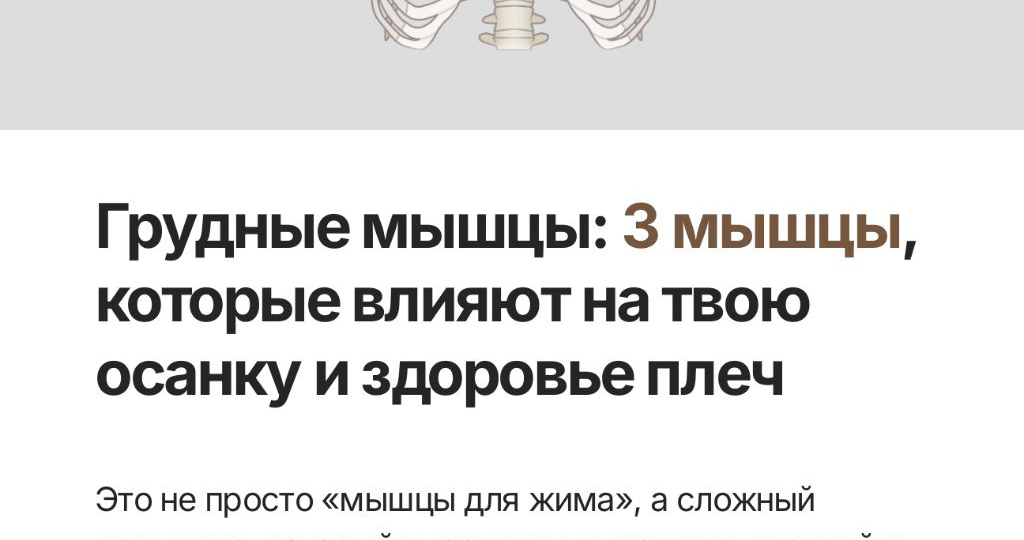 Грудные мышцы для девушек и мужчин: анатомия, упражнения, мифы