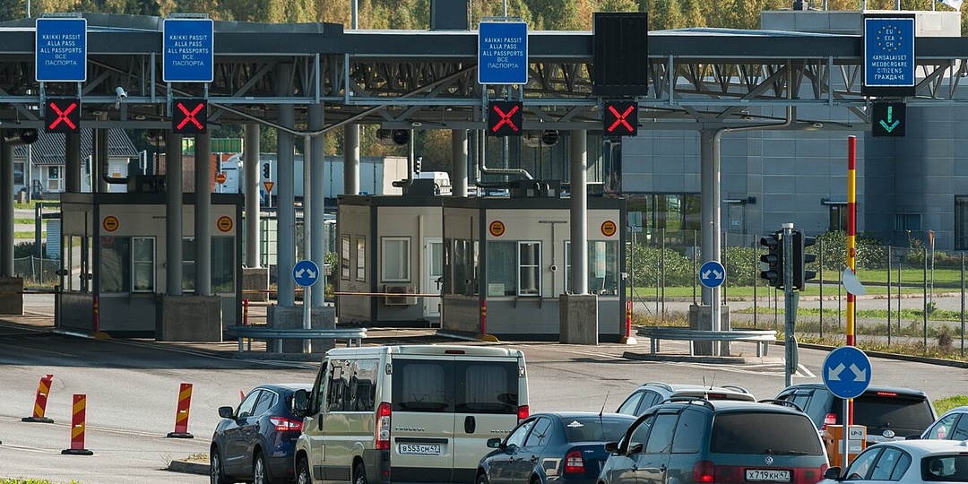 Тушкан благородный, была такая работа в Выборге.