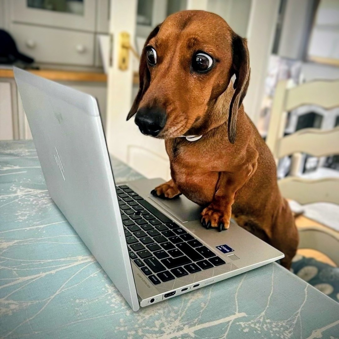 Тот самый блогер который бездельник