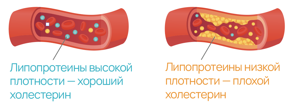 фото из открытого источника