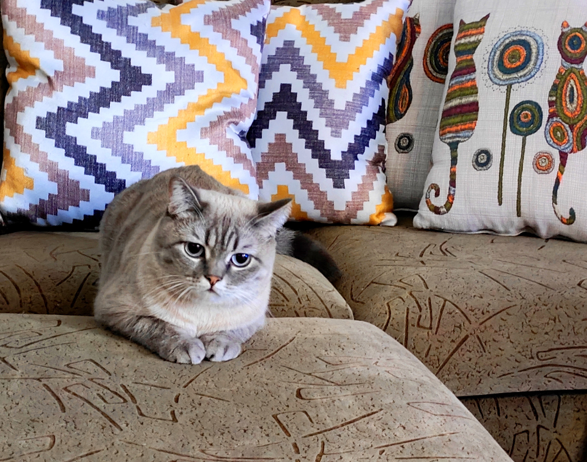 Фото автора 