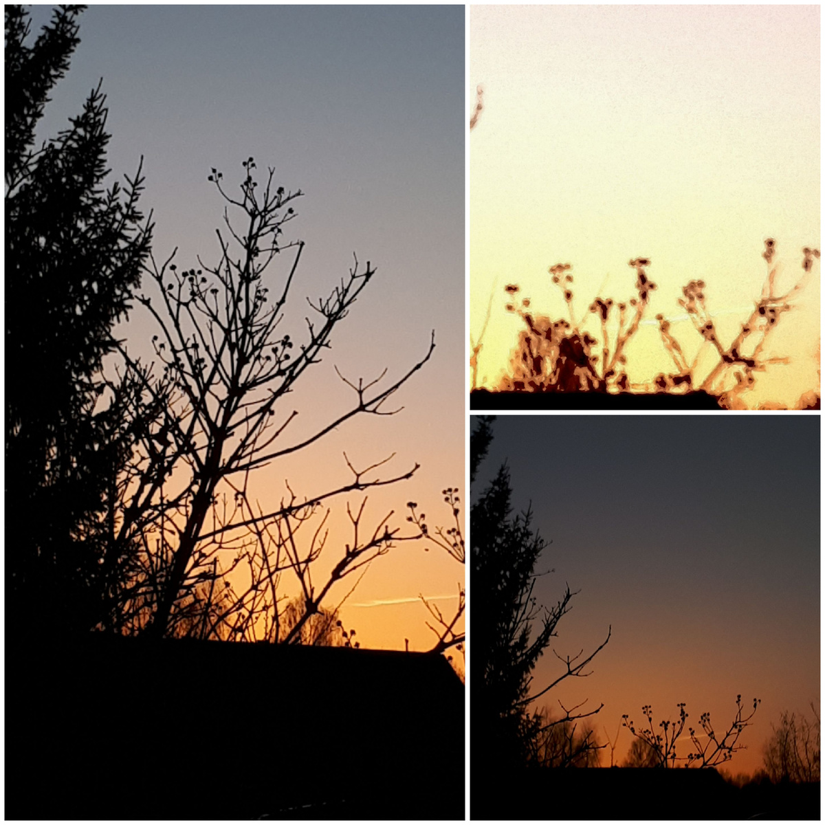 Коллаж автора 15.03.2026г.