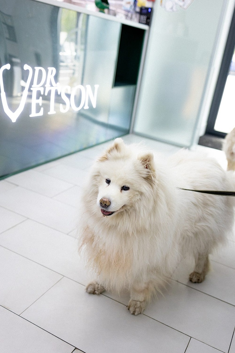 Создать карусель