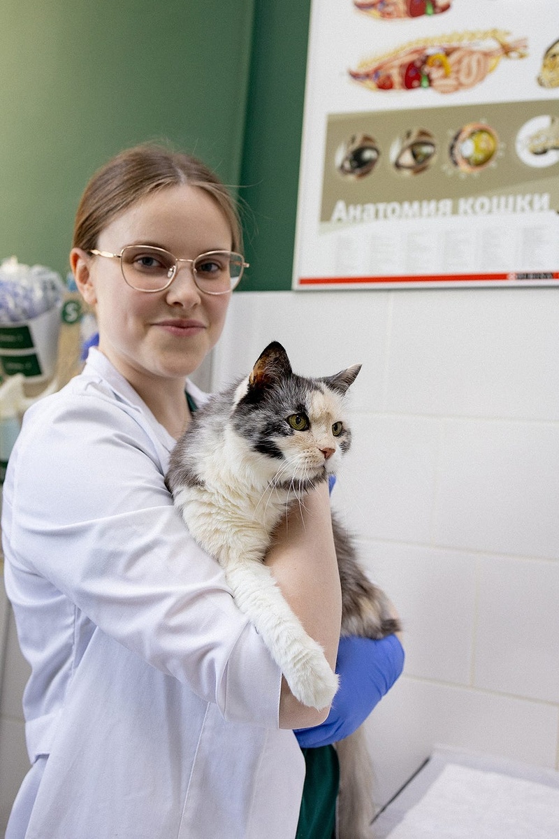 Создать карусель