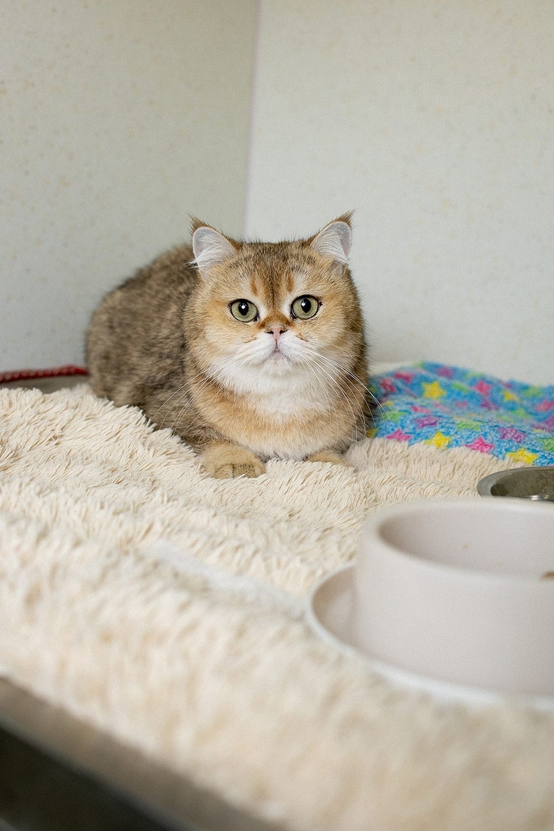 Создать карусель