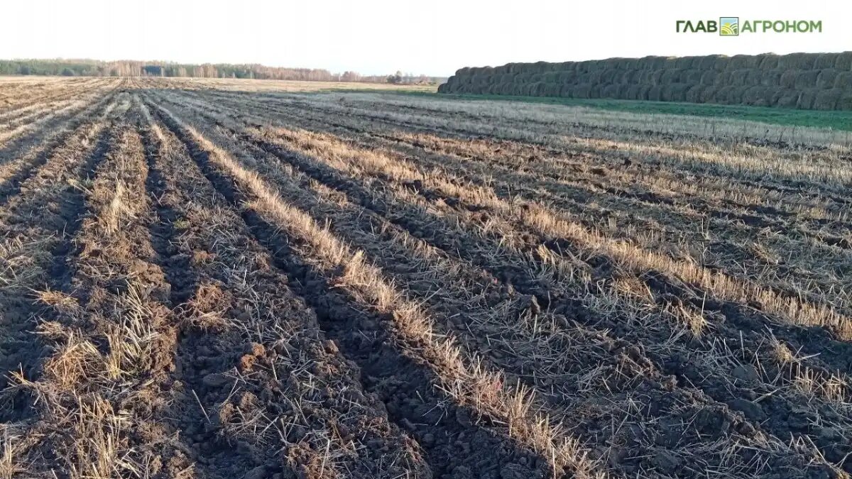 Фото:© Николай Петроченко / Glavagronom.ru
Основные процессы преобразования гербицидов в почве