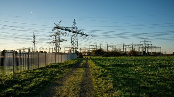    CC0 / Sorin Basangeac /