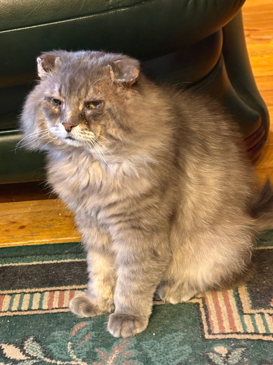 Неправда все это, не было такого!