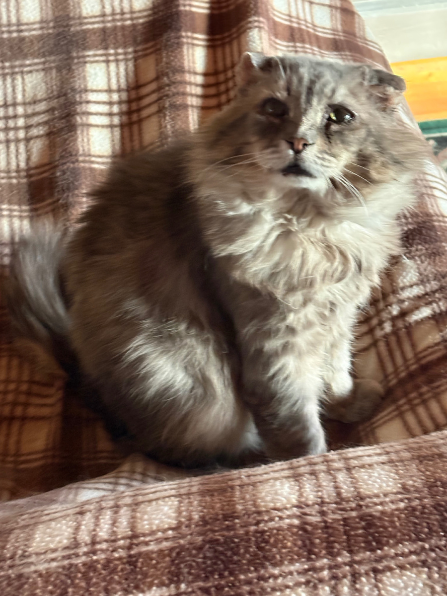 Ой, а что там за грохот! Везде фото автора.