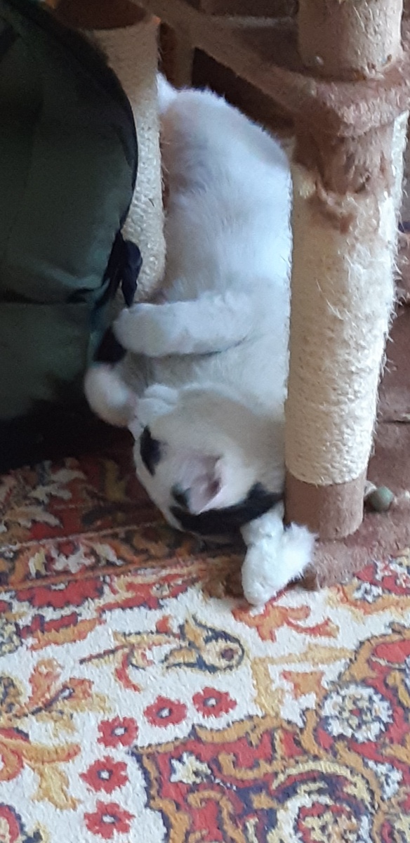 Подальше положишь - поближе возьмёшь