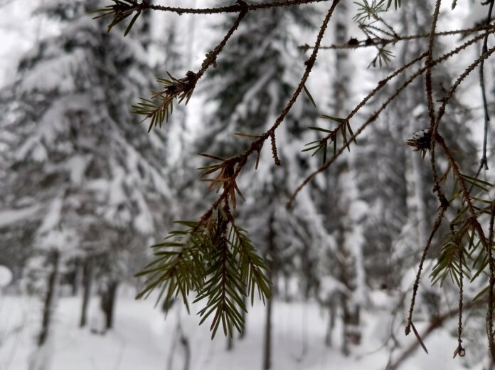    Фото: В курсе.ру