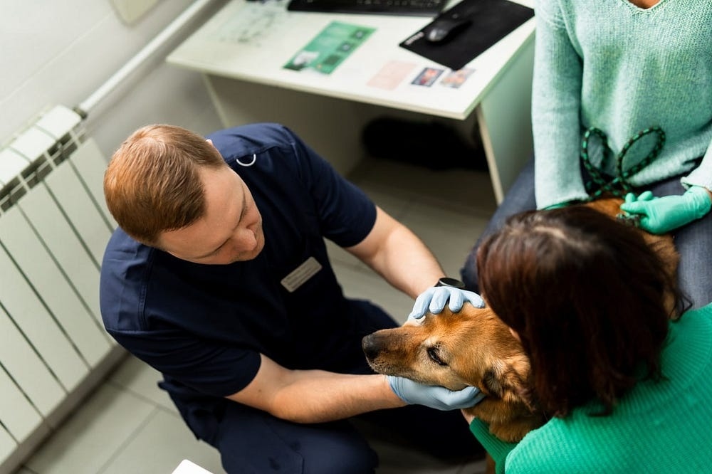 Создать карусель