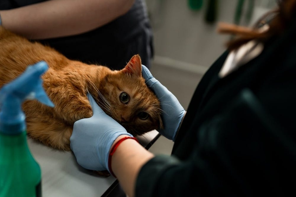 Создать карусель