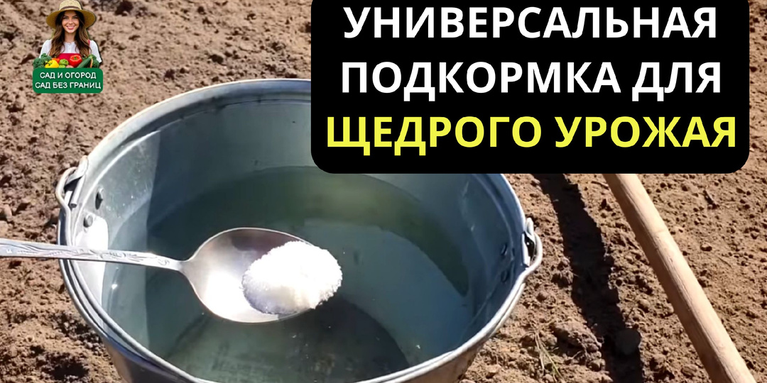 Хочешь щедрый уражай используй ЭТО! 👇