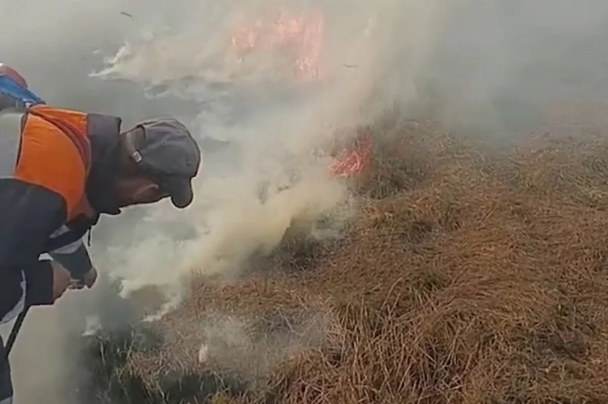    Палы травы участились в Калининградской области из-за сухой погоды