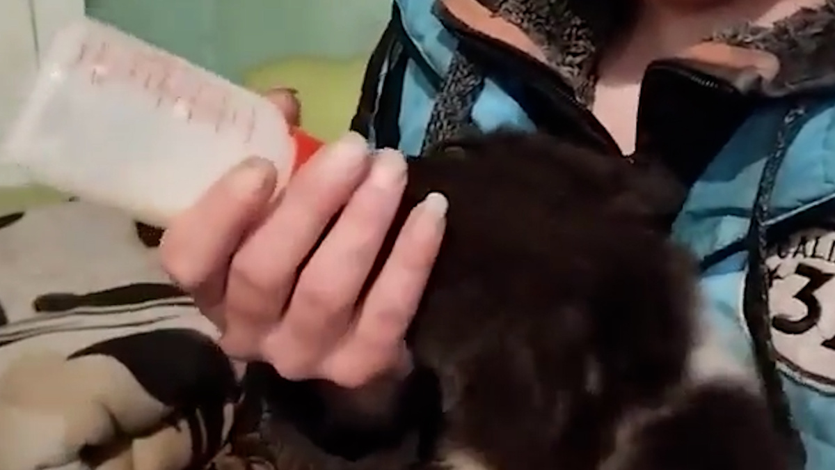    Первый канал