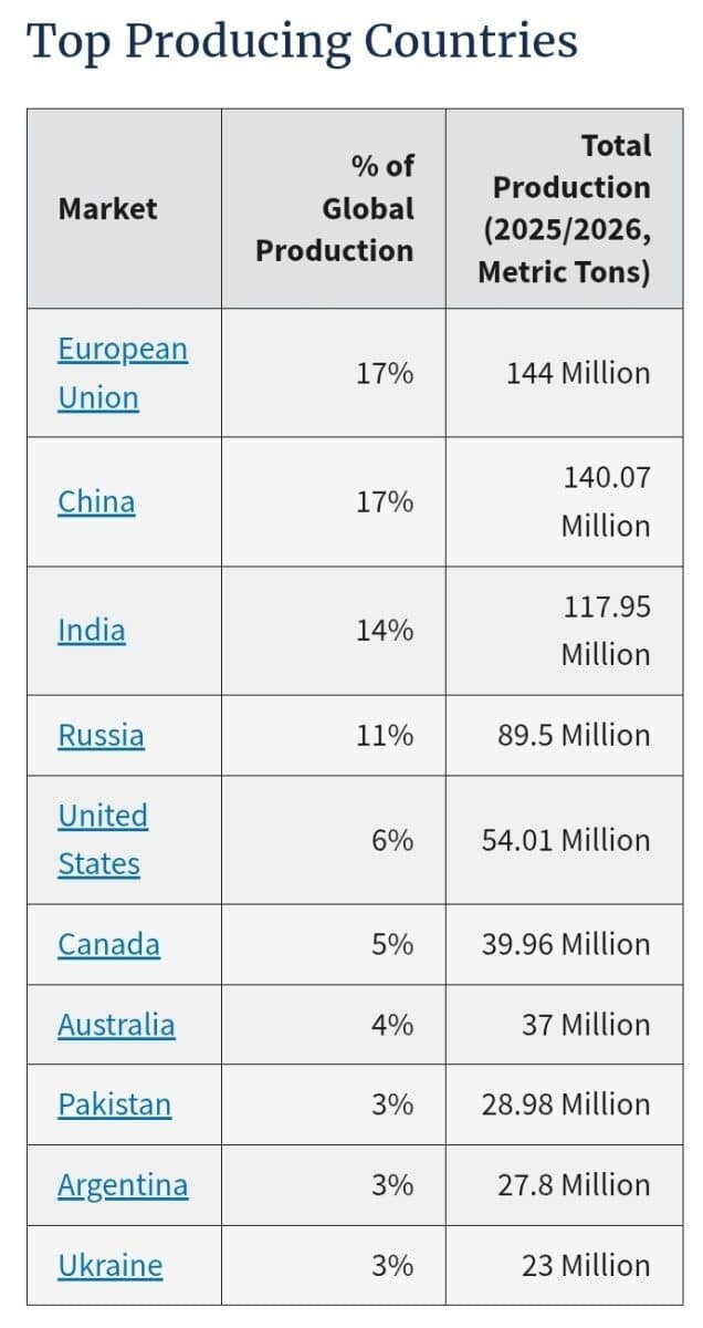    Крупнейшие в мире производители пшеницы / © USDA