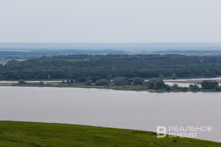   Артем Дергунов / realnoevremya.ru