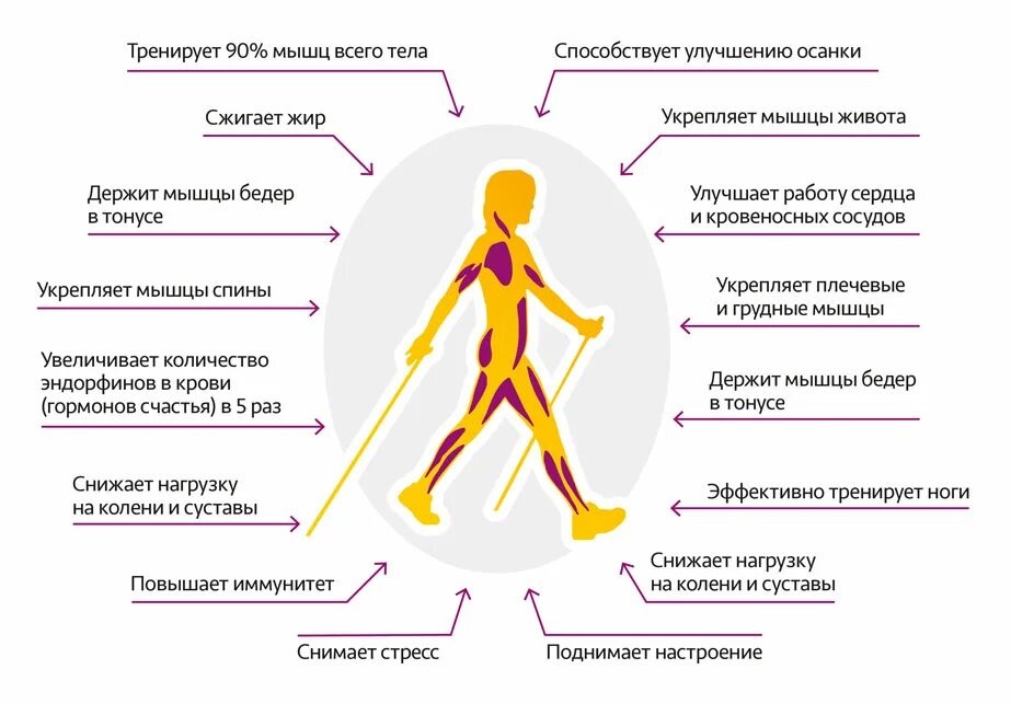 фото из открытого источника