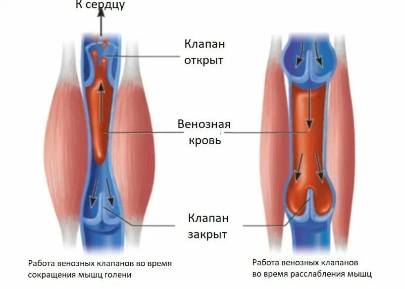 фото из открытого источника