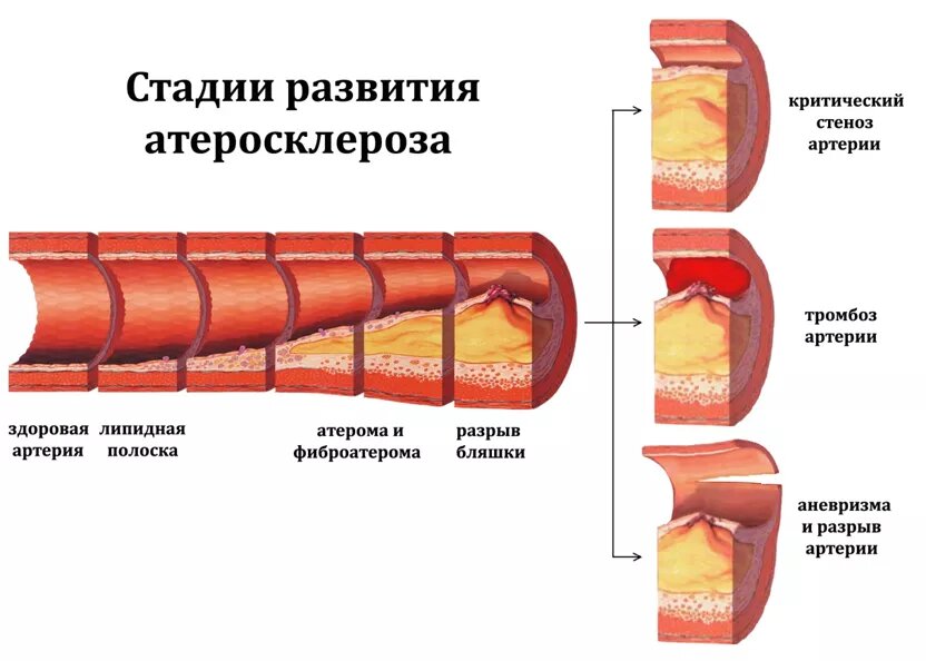 фото из открытого источника