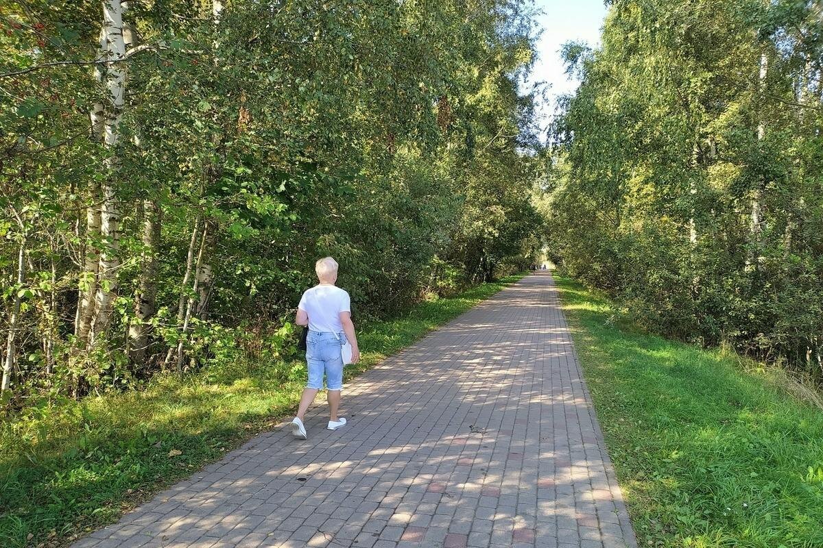 фото из открытого источника