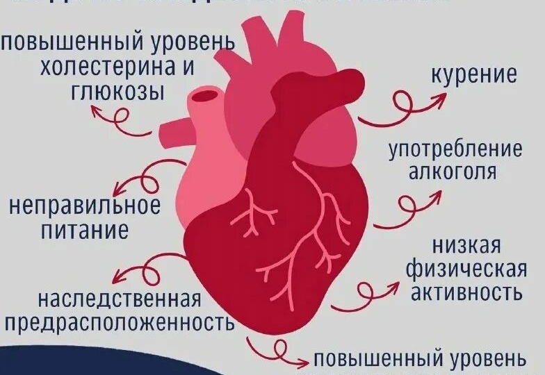 Лео Бокерия: "Ходьба — это договор с сердцем. И большинство его нарушают".